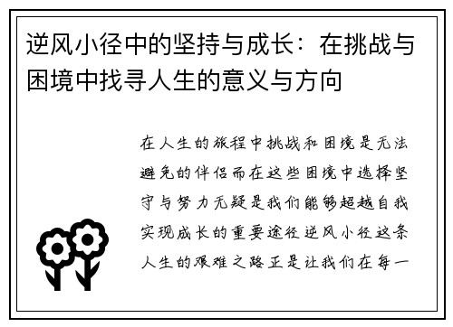 逆风小径中的坚持与成长：在挑战与困境中找寻人生的意义与方向